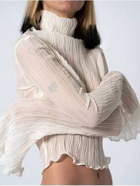 Neglige Sheer Pleated Mock-Neck Blouse